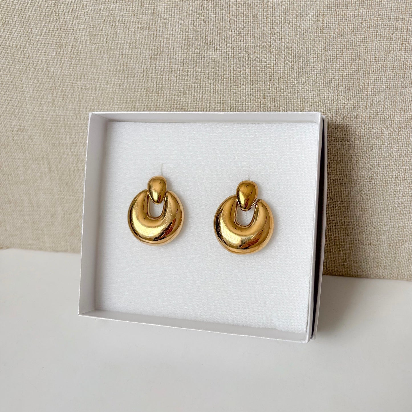 Aretes Leo