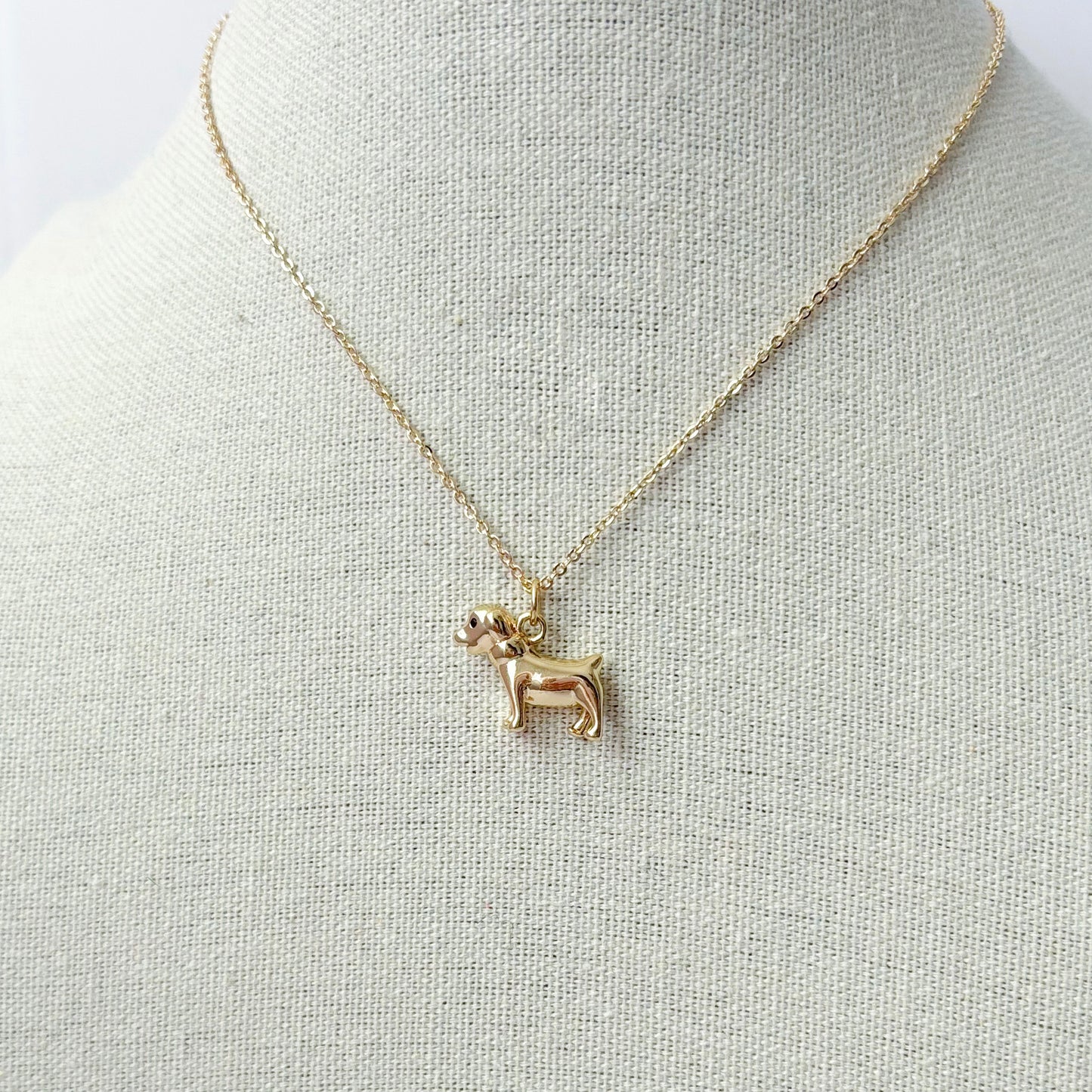 Perrito